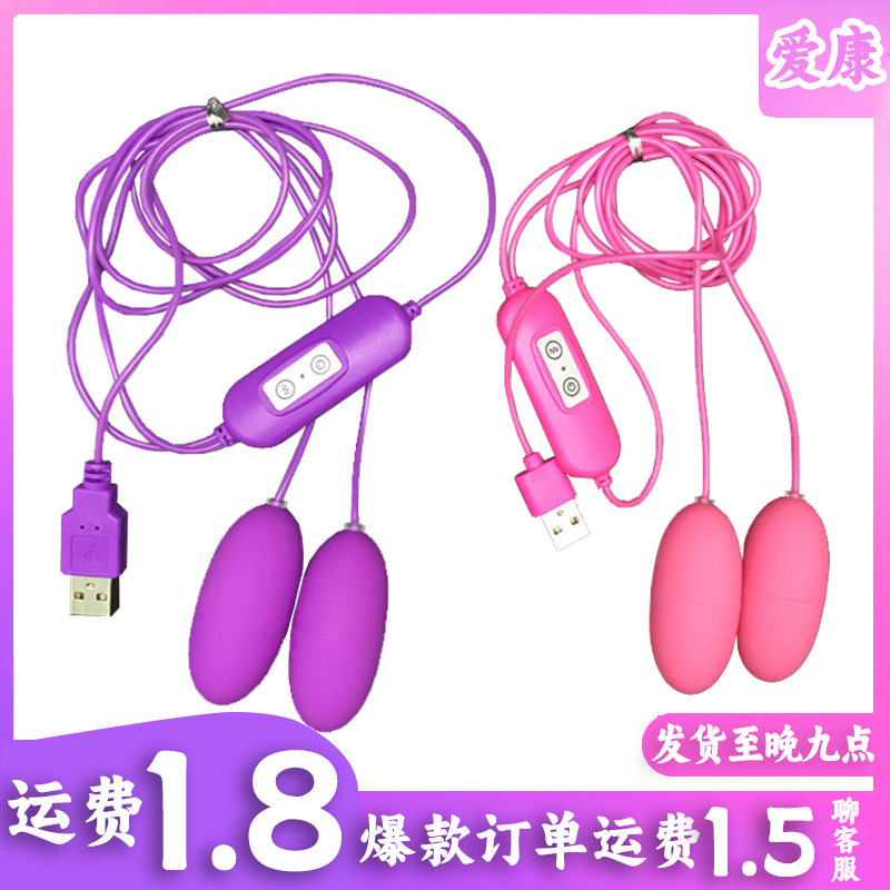 USB Dual Vibrating Eggs
