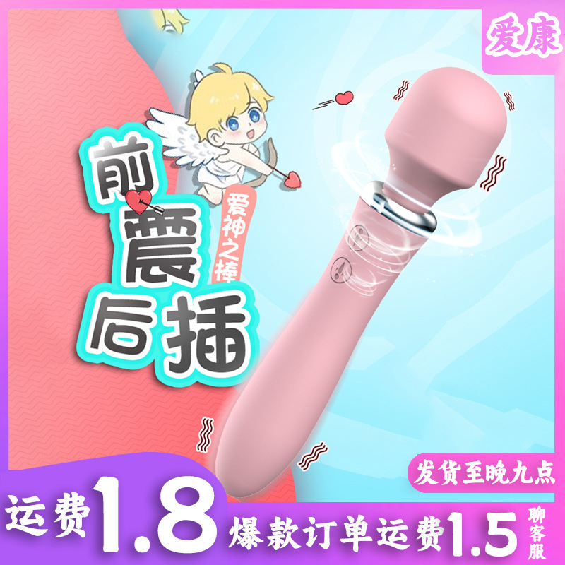 Dual-Head Vibrator